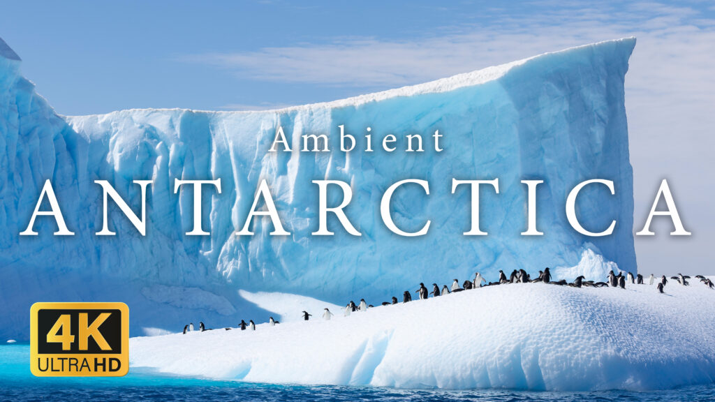 Ambient Antarctica